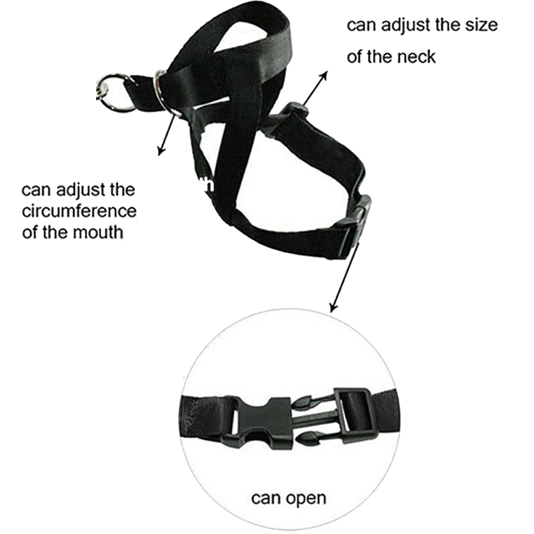 Dog Muzzle and Collar with Leads