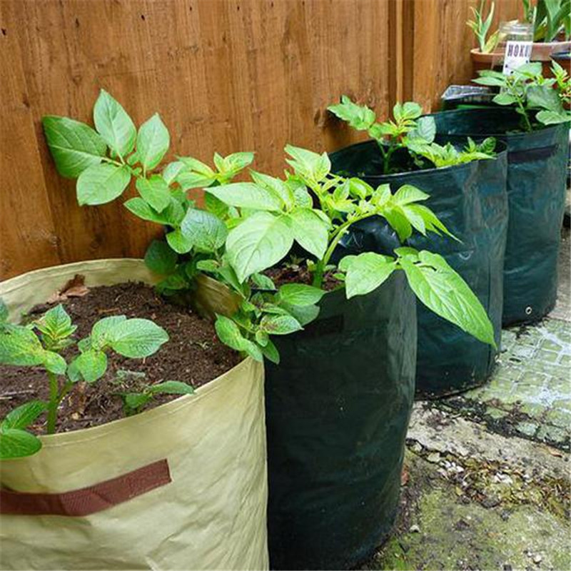 DIY Potato Grow Planter Container Bag Pouch Root Plant ...